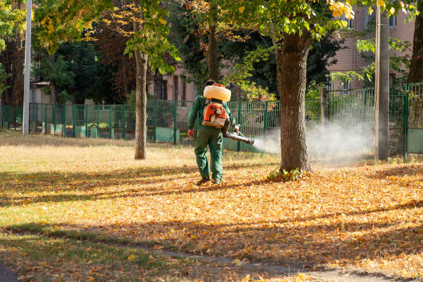 Flea Control Services in Victory Lakes, NJ