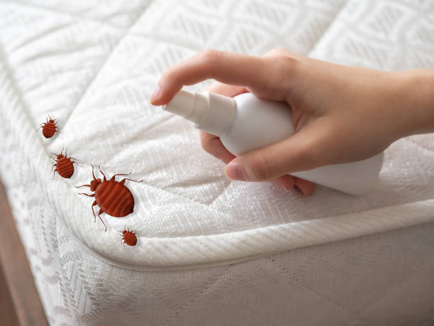 Best Mosquito Control Services  in Victory Lakes, NJ