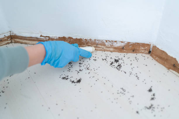 Best Affordable Pest Control Services  in Victory Lakes, NJ